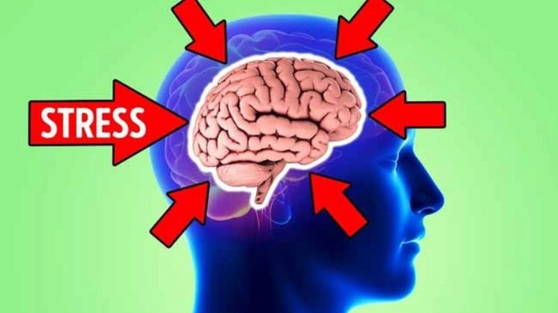 Stress ảnh hưởng nghiêm trọng đến não bộ 