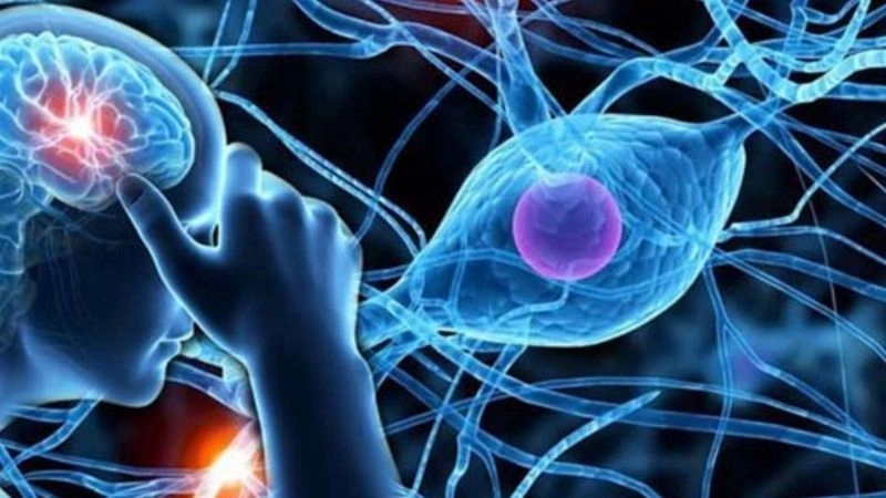 Rối loạn thần kinh chức năng là căn bệnh tác động trực tiếp đến cảm xúc và tinh thần