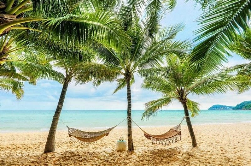 Khám phá thời điểm lý tưởng để khám phá Phú Quốc