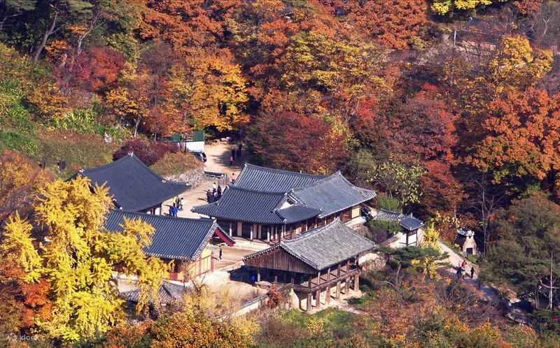 Andong níu chân du khách với nét đẹp hoài cổ