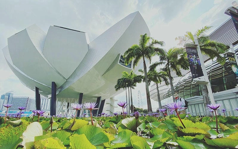 Góc nhìn bên ngoài ấn tượng của ArtScience Museum Singapore