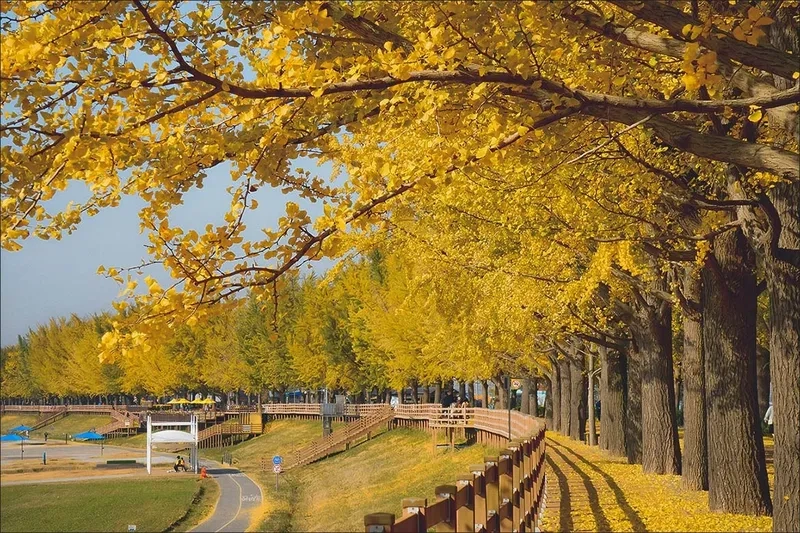 Asan mang vẻ đẹp vừa cổ kính vừa hiện đại