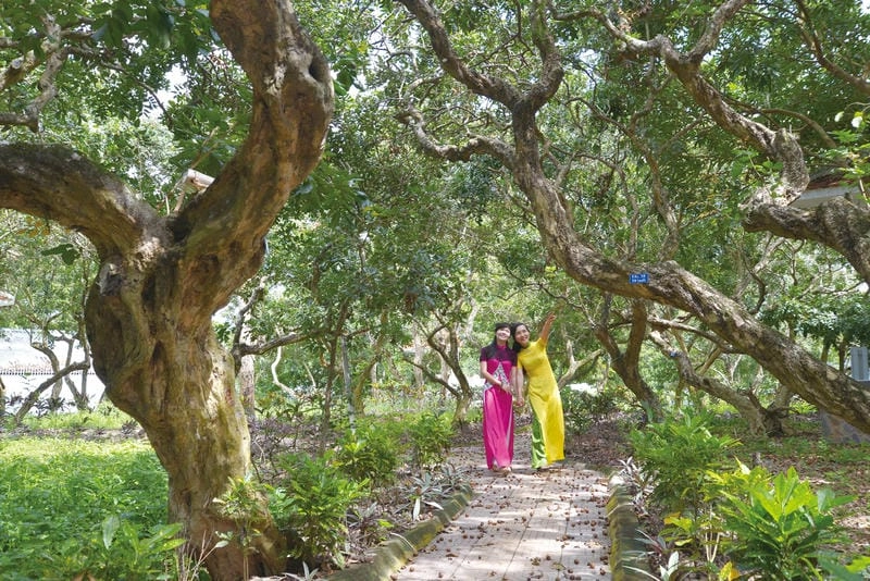 Văn hóa Bạc Liêu với trang phục Khmer đặc sắc