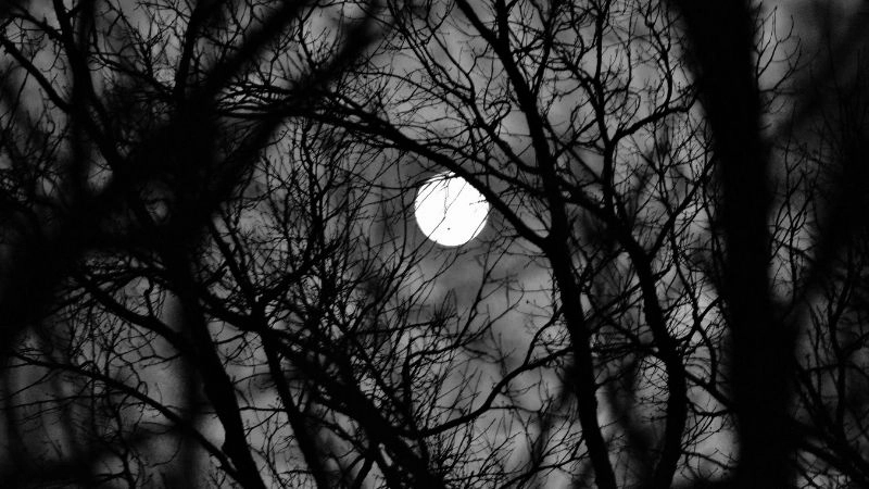 Bài hát ma và văn hóa dân gian