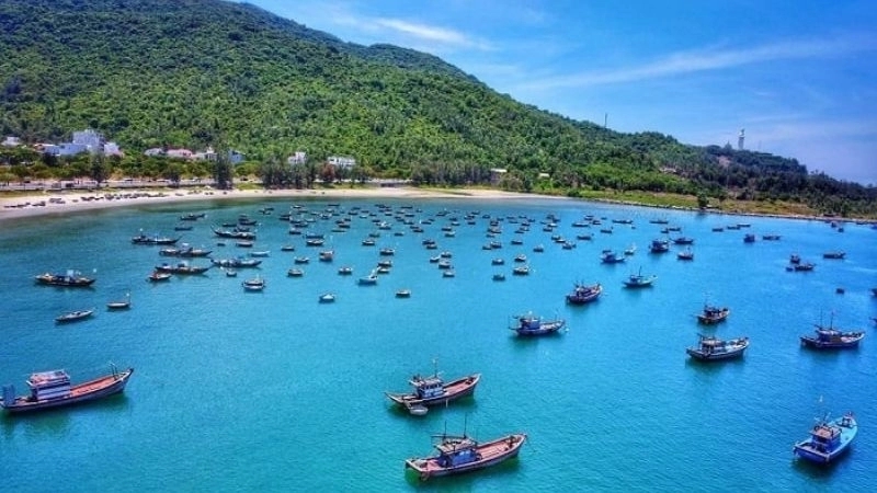 Thiên nhiên Bán đảo Sơn Trà hoang sơ kỳ vĩ