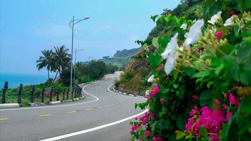 Đường ven biển Sơn Trà uốn lượn như tranh