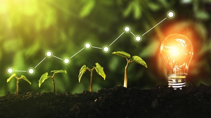 Carbon capture và chống biến đổi khí hậu