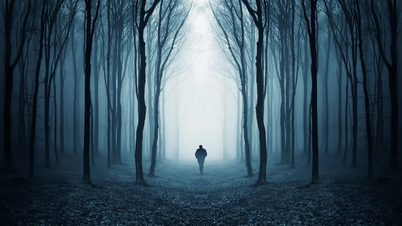 Bóng ma cõi mạng và văn hóa số