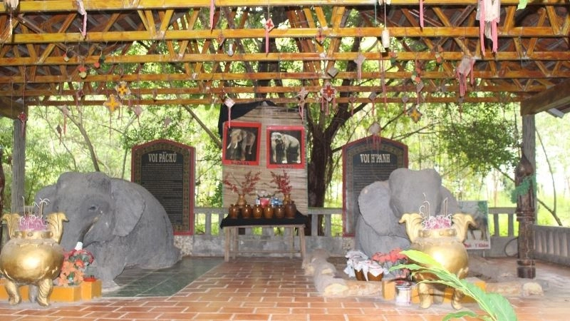 Lịch sử Buôn Đôn gắn liền với huyền thoại voi rừng