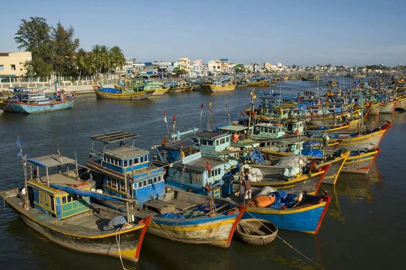 Cảng Phan Thiết sôi động với thuyền bè đầy màu sắc