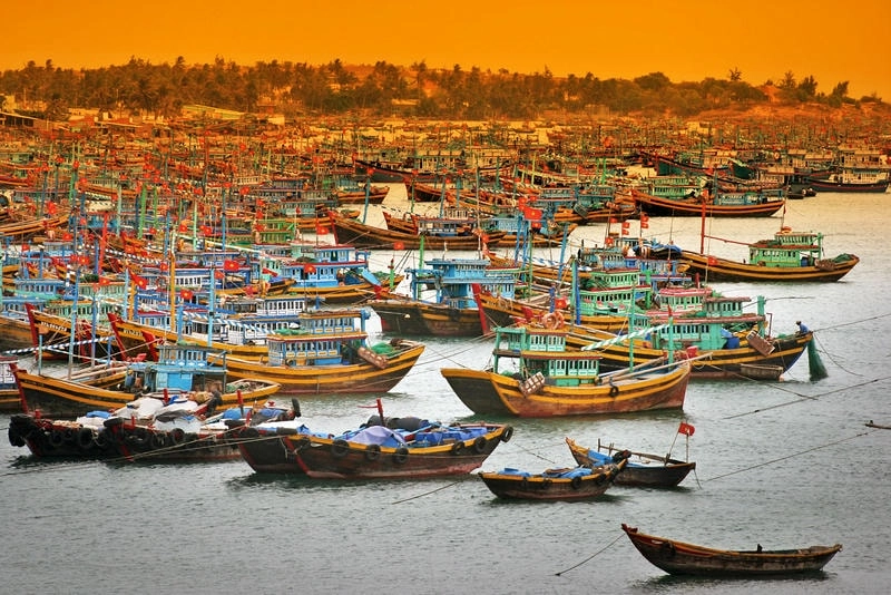 Bình minh rực rỡ tại cảng Phan Thiết