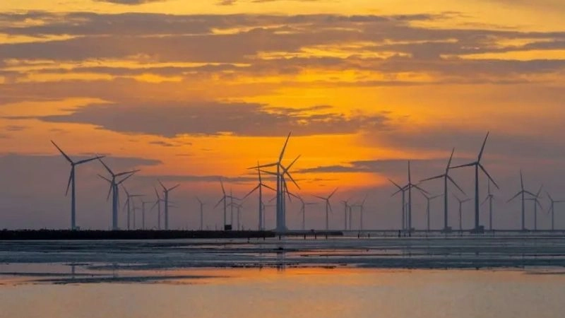 Thời điểm lý tưởng để đến thăm cánh đồng điện gió