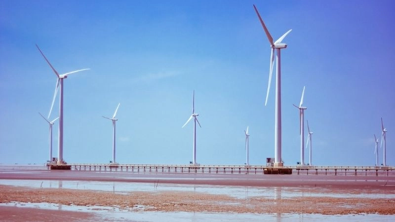 Khám phá cánh đồng điện gió hành trình ấn tượng