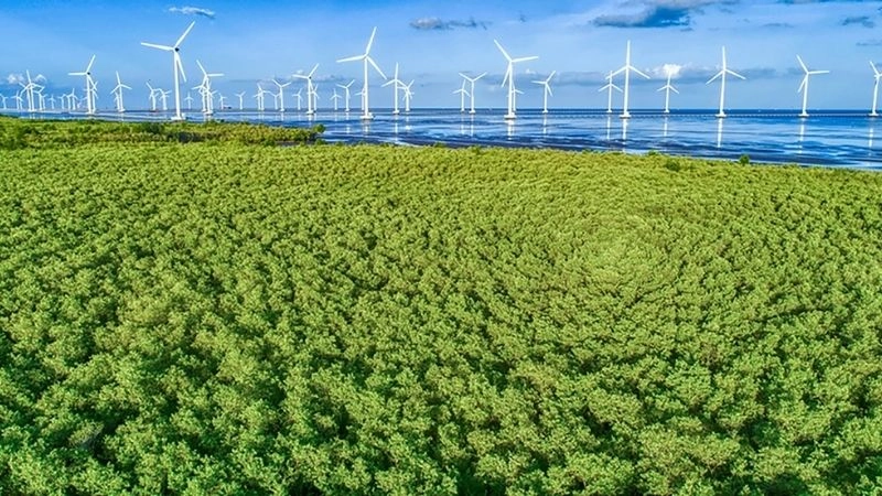 Ảnh Bạc Liêu đẹp lưu giữ khoảnh khắc nên thơ