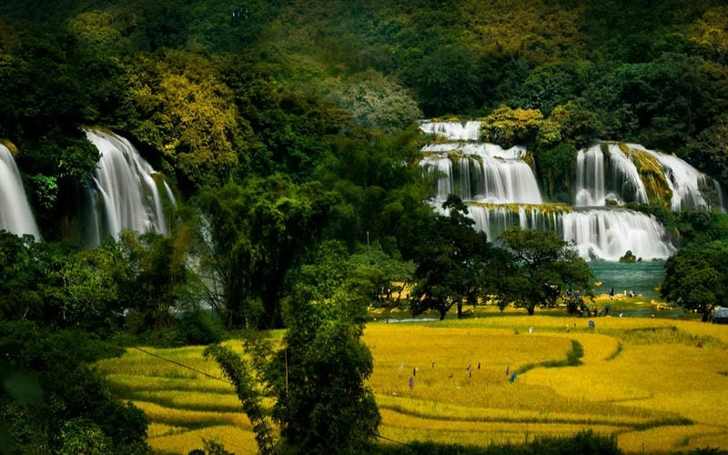 Hang động Cao Bằng huyền bí giữa núi rừng