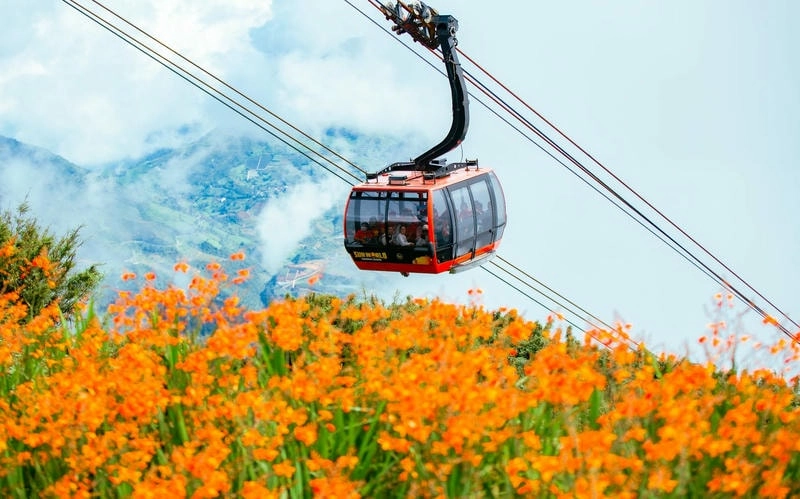 Cáp treo Fansipan Sapa trong ánh hoàng hôn rực rỡ