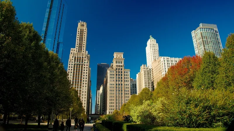 Đôi nét về Chicago