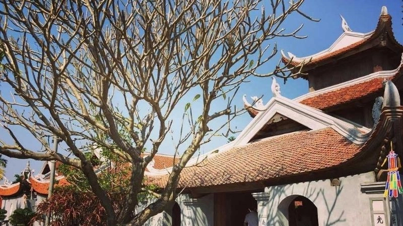 Chùa Dâu là địa điểm không thể bỏ qua ở Bắc Ninh