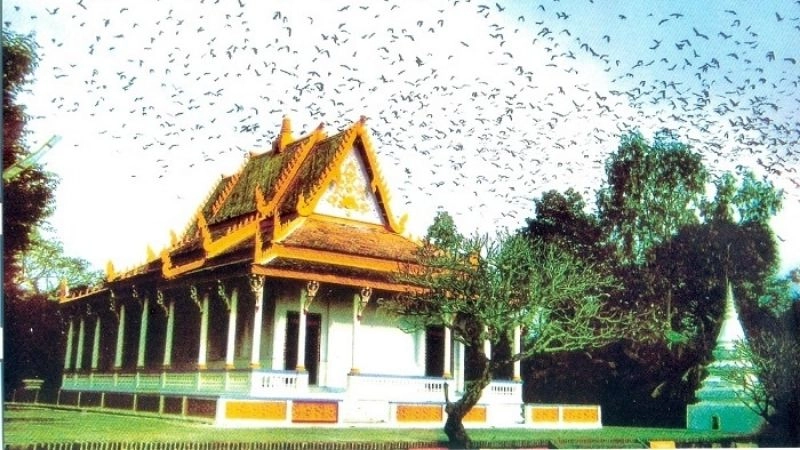 Kinh nghiệm cá nhân khi khám phá Chùa Dơi