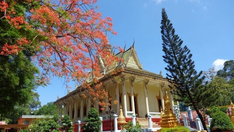 Cảnh quan Chùa Hang Trà Vinh yên bình xanh mát