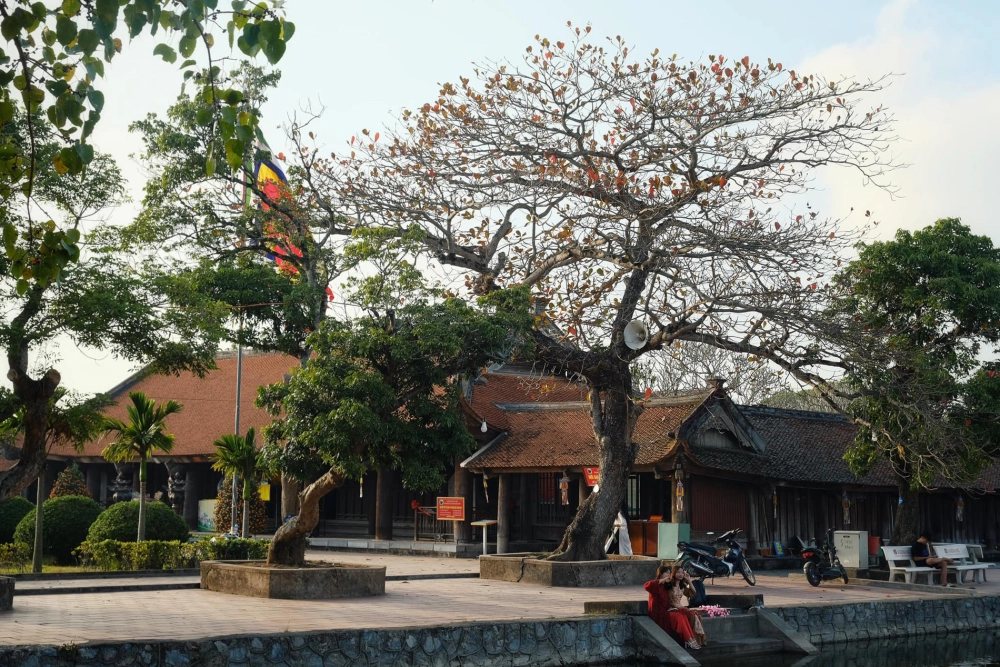 Chùa Keo lưu giữ tinh hoa kiến trúc cổ xưa