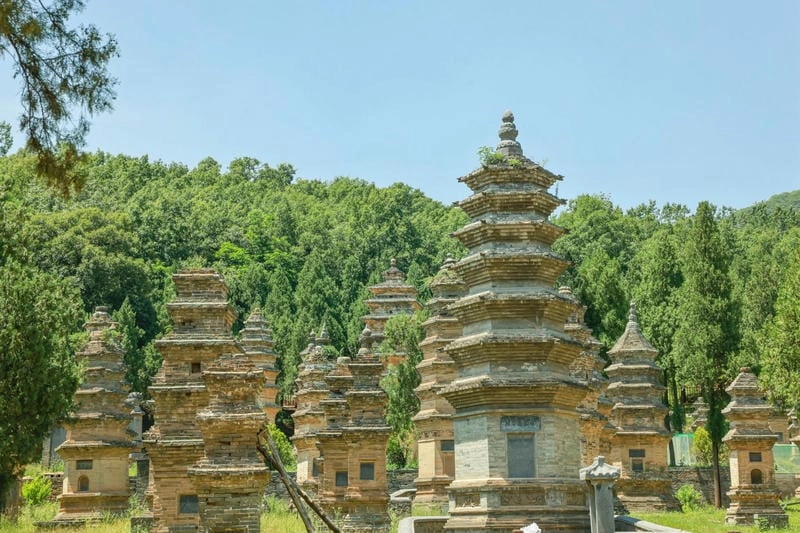 Tham gia Luyện võ Thiếu Lâm để rèn luyện sức khỏe