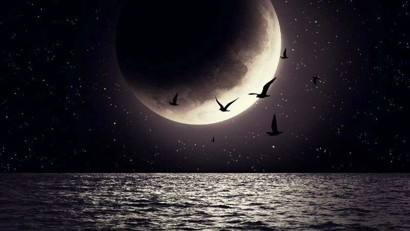 Cơ sở Mặt Trăng bước đầu định cư