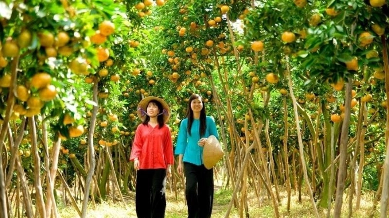 Thiên nhiên Cồn Thới Sơn xanh mát quanh năm