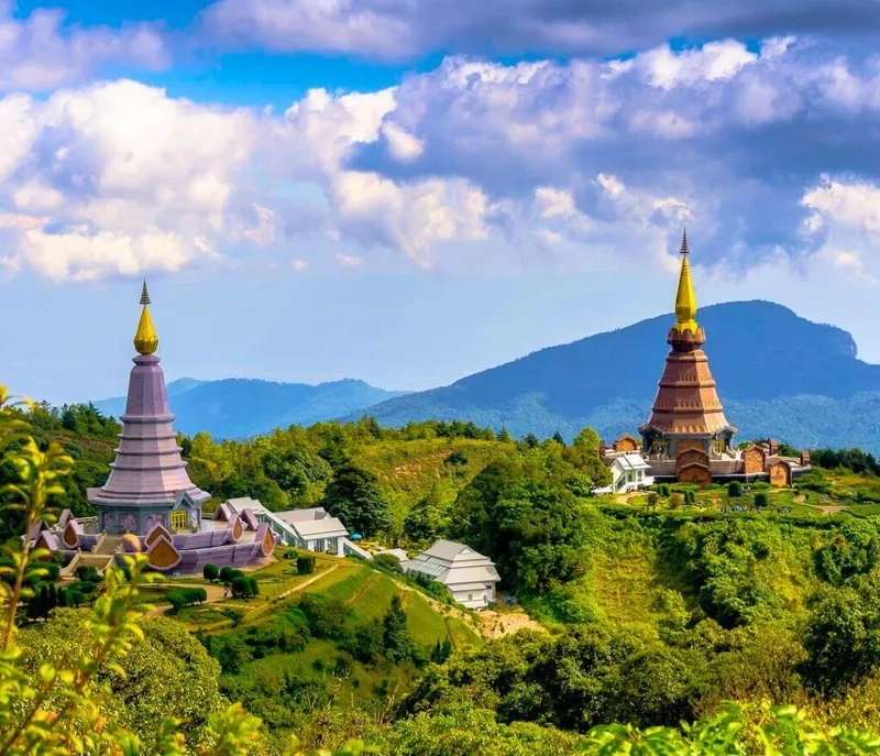 Thảm thực vật xanh tươi tại Công viên quốc gia Doi Inthanon