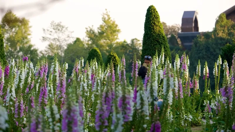 Công viên quốc gia Doi Inthanon thu hút hàng triệu du khách