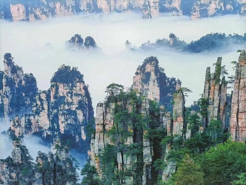 Tham quan công viên rừng quốc gia trương gia giới kỳ vĩ