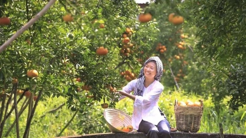 Ảnh Vĩnh Long đẹp lưu giữ khoảnh khắc tuyệt vời