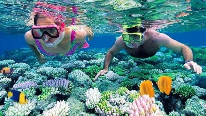 Lặn biển Cù Lao Chàm là trải nghiệm khó quên