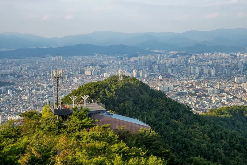 Daegu rực rỡ trong sắc hoa mùa xuân đầy quyến rũ