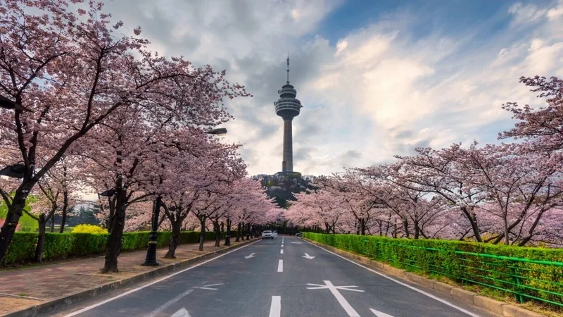 Khám phá Daegu với vẻ đẹp hòa quyện giữa hiện đại