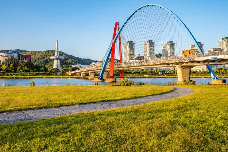 Daejeon rực rỡ sắc hoa trong ngày nắng đẹp