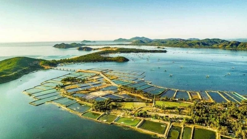 Cách di chuyển đến đầm Ô Loan thuận tiện