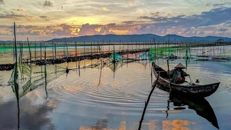 Khám phá Đầm Ô Loan hành trình trải nghiệm độc đáo