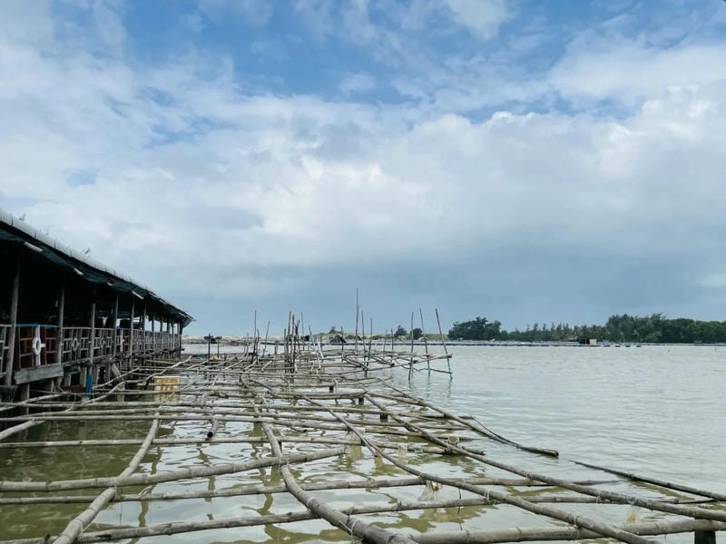 Đầm Ô Loan Phú Yên yên bình trong ánh hoàng hôn