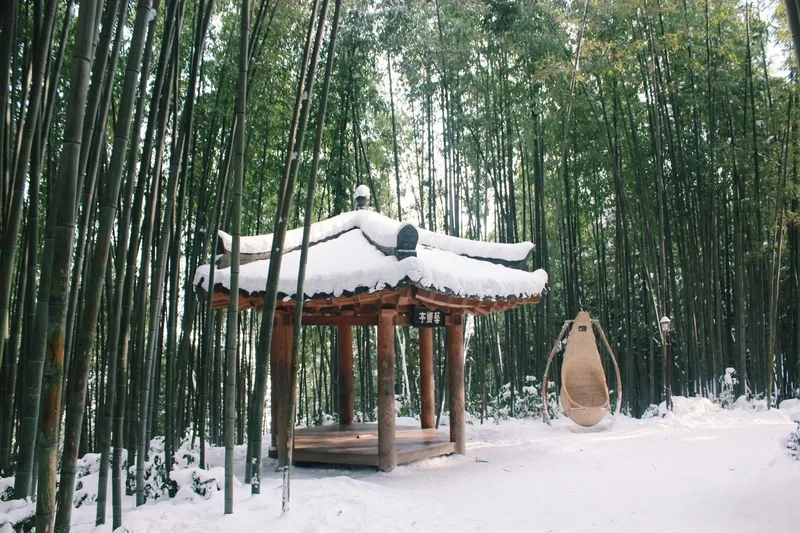 Một ngày khám phá vẻ đẹp cổ kính của Damyang