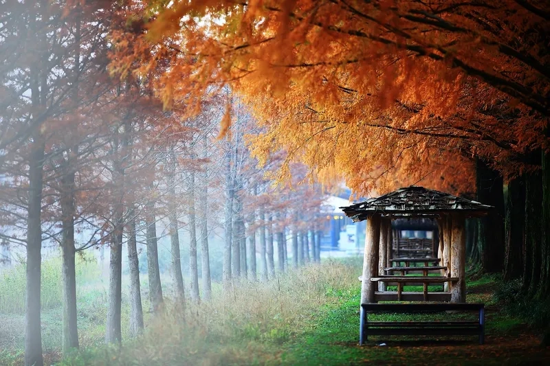 Damyang là một huyện thuộc tỉnh Jeollanam-do, Hàn Quốc