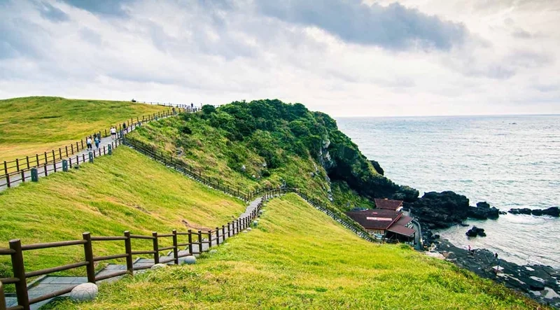 Phiêu lưu trên những cung đường Đảo Jeju