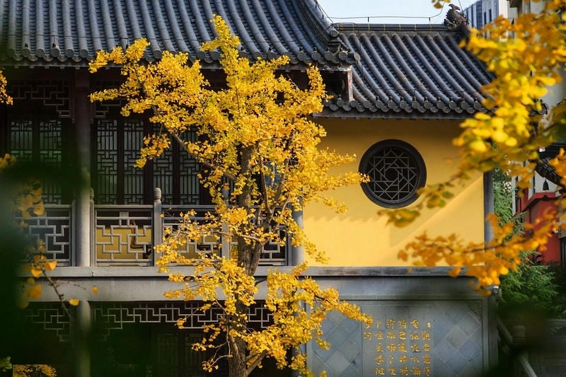 Chiêm ngưỡng hoàng hôn với ảnh Đền Khổng Tử buổi chiều