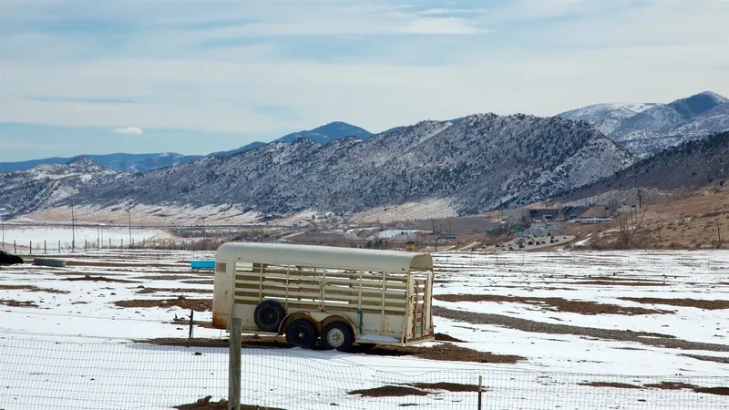 Mùa đông ở Denver đem đến cảnh tuyết trắng tuyệt đẹp