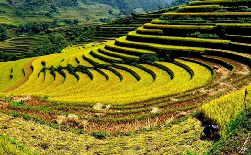 Đừng bỏ qua địa điểm nên khám phá khi đến Điện Biên