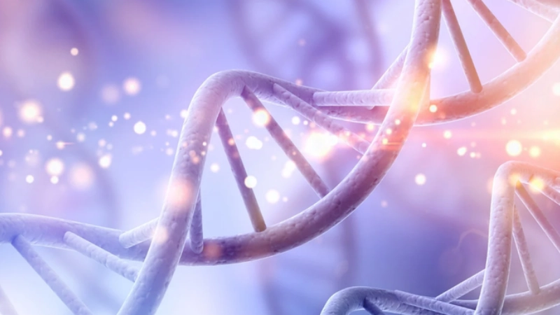 DNA cổ đại hé lộ bí mật sự sống đã mất