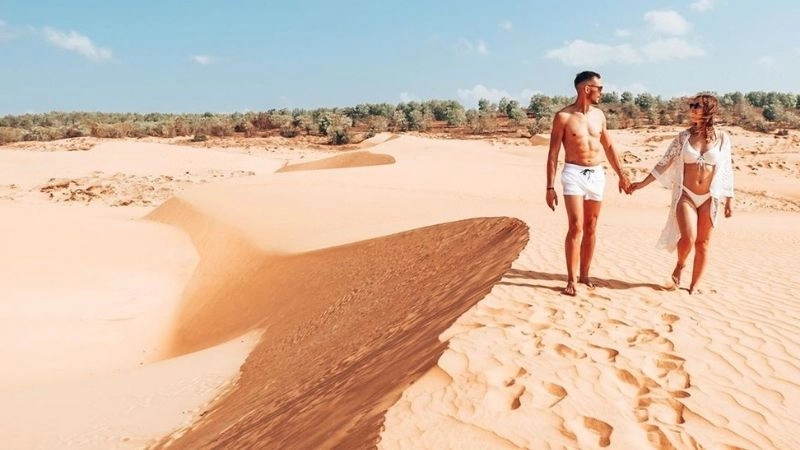 Thiên nhiên Đồi Cát Bay hoang sơ đầy sức sống