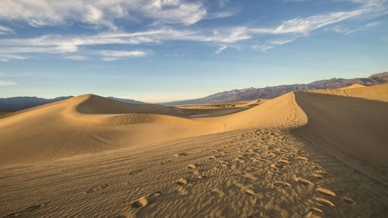 Thiên nhiên Đồi cát Nam Cương hoang sơ quyến rũ