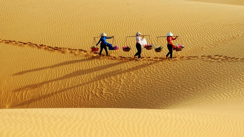 Đồi cát Phan Thiết lung linh dưới ánh nắng vàng