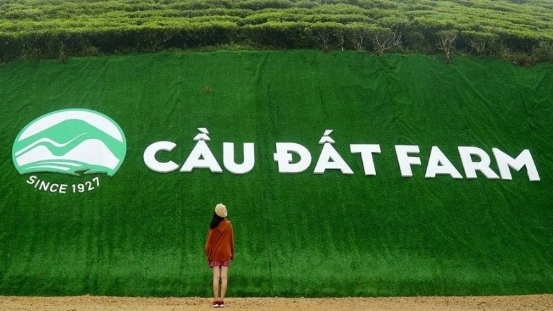 Thiên nhiên Đồi chè Cầu Đất thanh bình